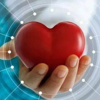 info-350-350 info-350-350